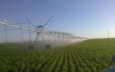Uruguay con crecimiento récord del riego por pivote central.