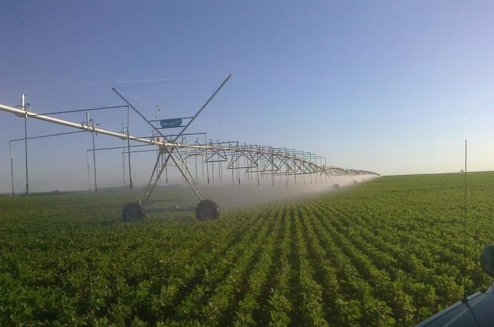 Uruguay con crecimiento récord del riego por pivote central.
