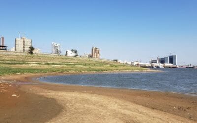 Paraguay enfrenta una sequía que obliga a Ministerio de Economía a buscar apoyos.