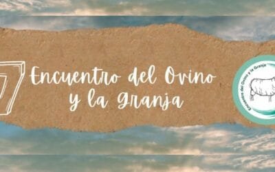 Cabaña La Lucha participará en el Encuentro del Ovino y la Granja con ejemplares Frisona Milchschaf y Santa Inés.
