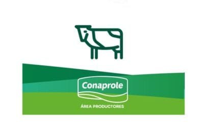 Mañana, jornada sobre preparto, dieta y confort.