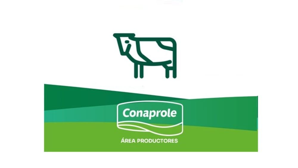 Mañana, jornada sobre preparto, dieta y confort.