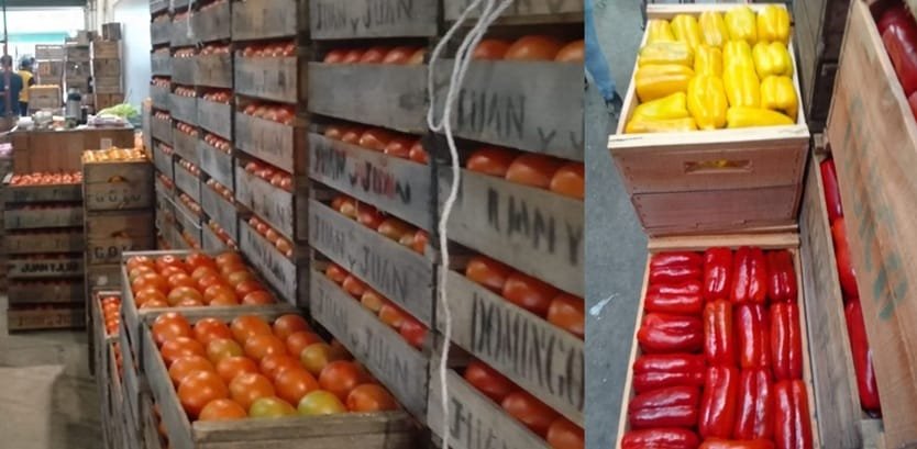 Continua la abundante oferta de morrones y tomates en el mercado mayorista.