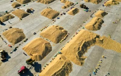 China va por salvaguardar suministro de productos agrícolas