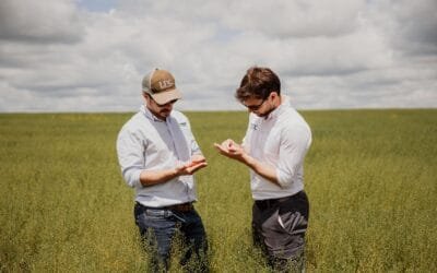 Louis Dreyfus Company y Global Clean Energy renuevan acuerdo para expandir el cultivo de camelina en Sudamérica.