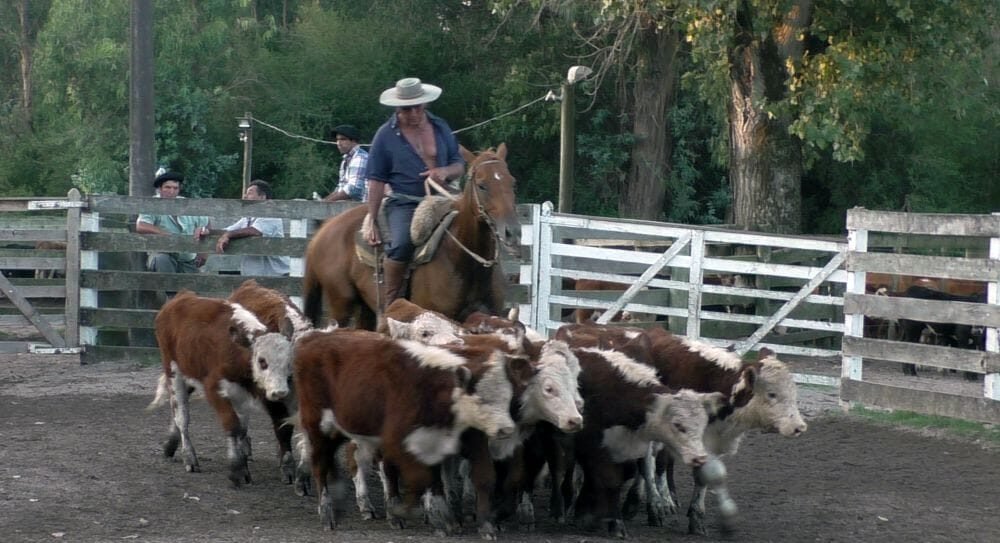 Caliente la pista adentro y afuera del Campanero.