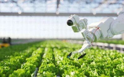 El resurgimiento de la inversión en AgTech: señales de recuperación en 2024.