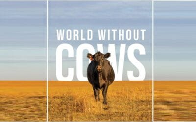 Sin vacas, el mundo sería diferente a como es ahora.