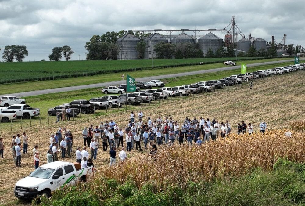 Agronegocios del Plata presentó dos nuevas variedades para los cultivos de soja.