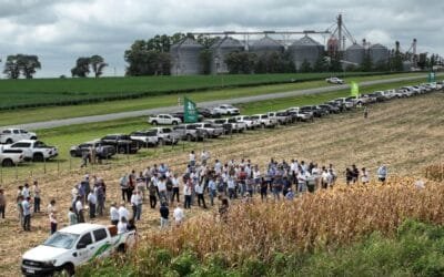 Agronegocios del Plata presentó dos nuevas variedades para los cultivos de soja.