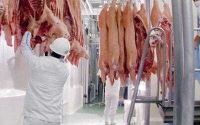 Paraguay también lucha por abrir sus mercados cárnicos.