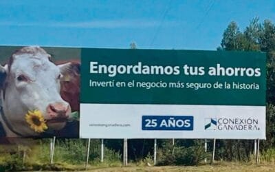 Conexión Ganadera con alcance internacional: “Afecta la imagen de Uruguay en China”.