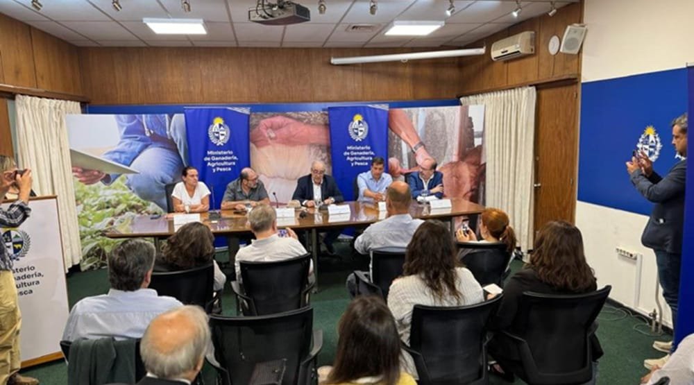 Uruguay y la colocación de carne en Chile.