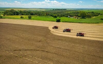 Las emisiones de carbono en la agricultura brasileña son de US$ 11,54 por tonelada.