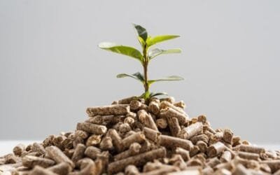 Se aprobó el Plan Nacional de Bioinsumos. El MGAP dijo que es un paso estratégico para la sostenibilidad agropecuaria.