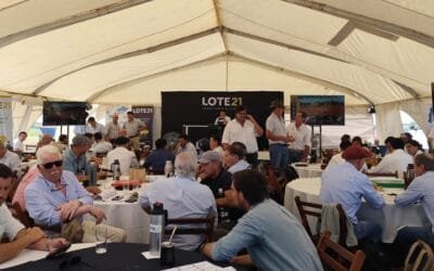 Desde Expo Activa, Lote 21 colocó el 98% de la oferta.