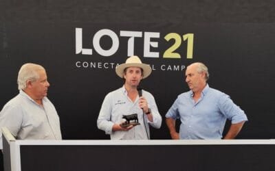 Lote 21 en Expo Activa, vendió el 96% de la oferta.