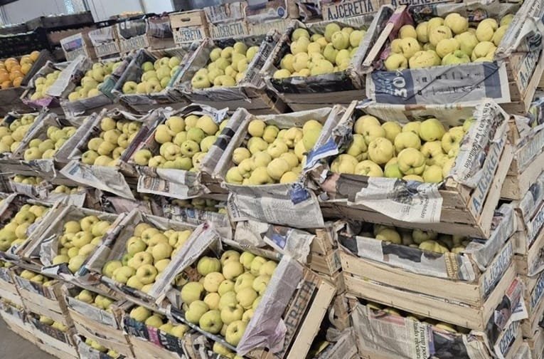 Significativa oferta de membrillos en la plaza mayorista.