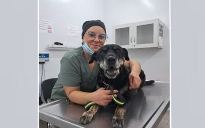 La Facultad de Veterinaria colocó el primer marcapasos a un perro en Uruguay.