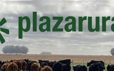 Hoy finaliza Plaza Rural que comenzó con alto porcentaje de colocación y valores al alza.