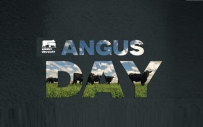 En menos de una semana, Angus Day, un evento diseñado para socios y criadores de la raza.