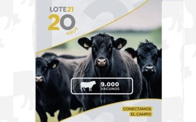 Lote 21 remata hoy desde la Expo Activa Nacional, 9.000 vacunos de calidad.