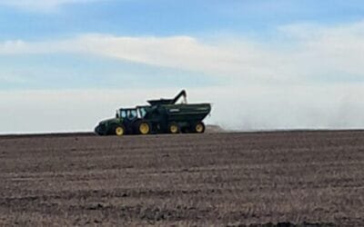 Lo prioritario es cosechar.