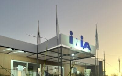 INIA desarrollará intensa actividad en la Expo Rural de Melilla 2025.