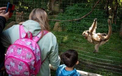 Montes del Plata participó en la Semana de Turismo con propuestas en Paysandú y Río Negro.