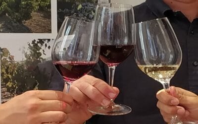 En 2024, el consumo mundial de vino bajó a su menor nivel desde 1961.