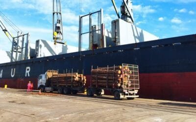 En 2024 el puerto de Fray Bentos generó ingresos superiores al millón de dólares.