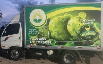 Irregularidades avícolas y la “vista gorda” que hace INAC.