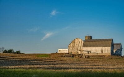 Agricultores y ganaderos familiares estadounidenses serán los más afectados por la guerra comercial mundial.