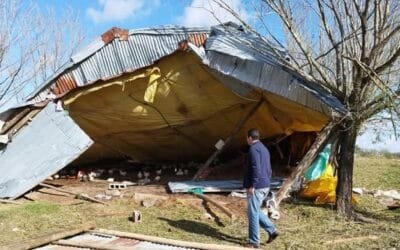 Temporal. Carámbula recorrió la zona, hay productores con pérdidas totales.
