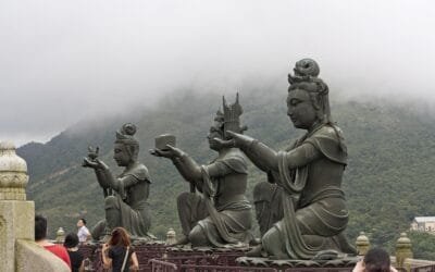 Uruguay fue habilitado para exportación de carne aviar a Hong Kong