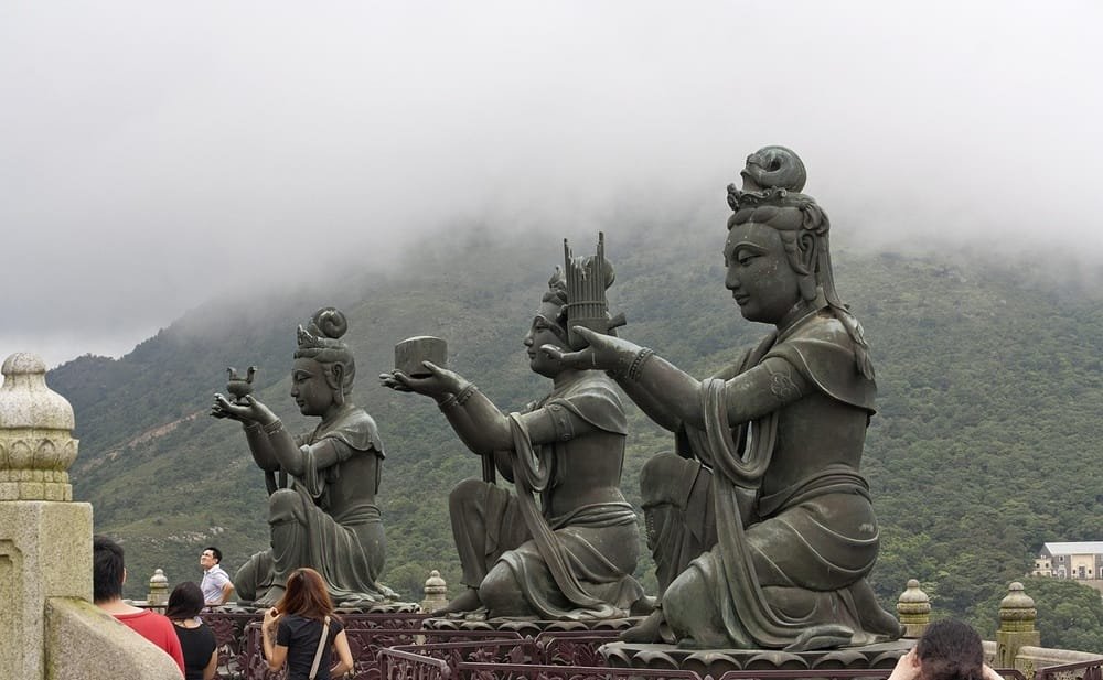 Uruguay fue habilitado para exportación de carne aviar a Hong Kong