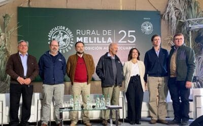 La institucionalidad en Melilla, Cortabarría dijo que las diferentes instituciones deben articular su acción.