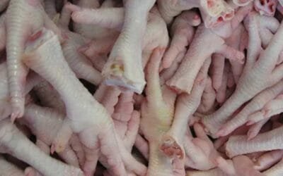 La apertura de Hong Kong para el sector avícola “es una muy buena noticia”.