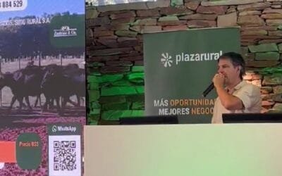 Fluidez en las ventas de Plaza Rural, el remate se retoma a las 09.00 horas de hoy.