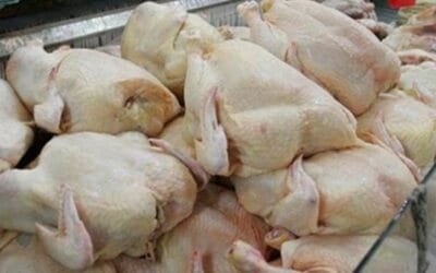 Presidente de los façoneros de pollos pidió mayor control del gobierno al contrabando.