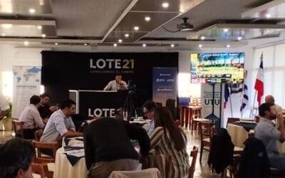 Lote 21 vendió el 90% de la oferta.