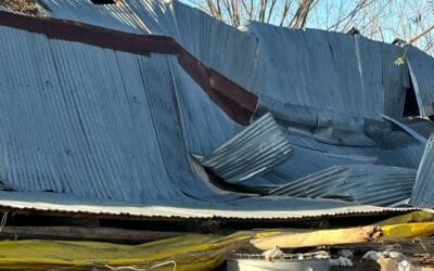 El MGAP realizará una semana de diagnóstico preciso sobre casos afectados por el temporal.