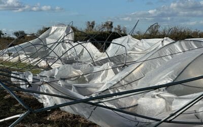 Fratti a los productores afectados por los eventos climáticos: “No están solos”.