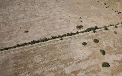 Argentina declaró emergencia agropecuaria en Chaco y Santa Fe.