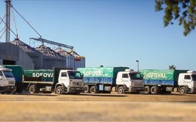 ¿Cuál es el costo de cultivos de verano?