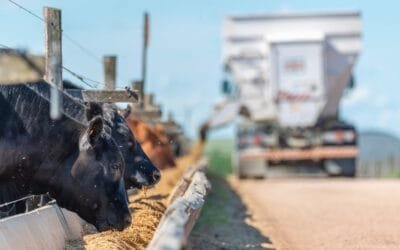 ADP consolida la producción sustentable de carne premium.