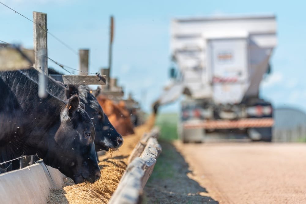 ADP consolida la producción sustentable de carne premium.