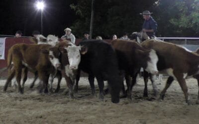 Escritorio Eduardo Umpiérrez dispersó surtida y variada oferta en Cañada Bellaca.
