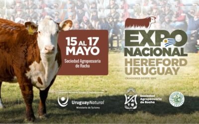 Hoy comienza la Expo Nacional Hereford