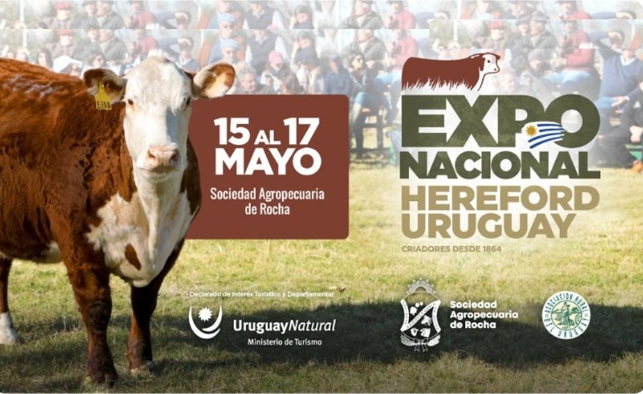 Hoy comienza la Expo Nacional Hereford